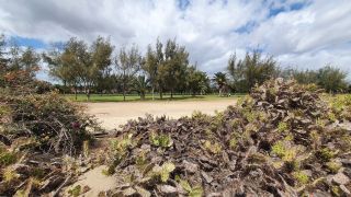 2023-GC-Dunas_Maspalomas-018.jpg